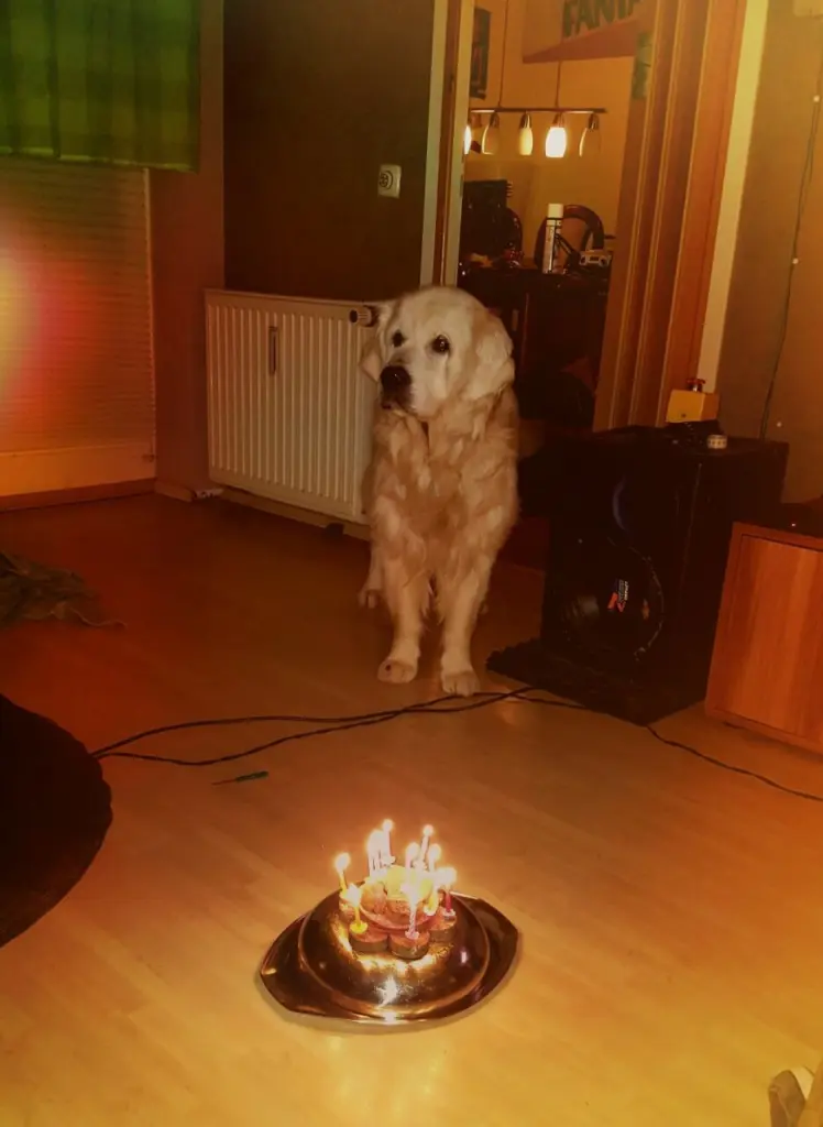 Image from Lucky