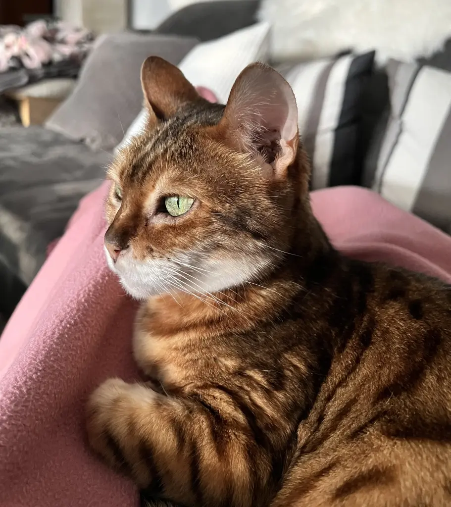 Bild von Ena