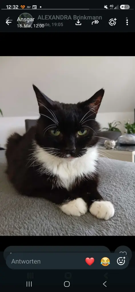Bild von Julchen