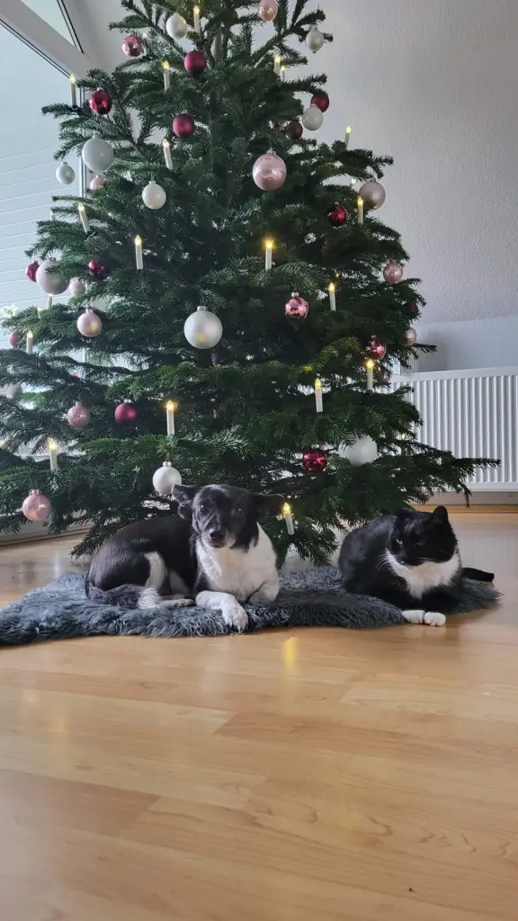 Julchen und Emma