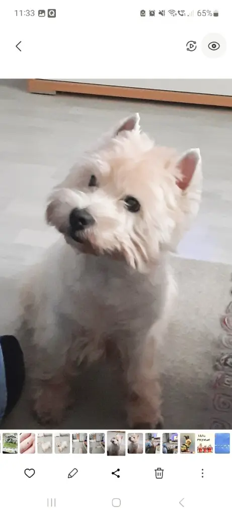 Bild von Max