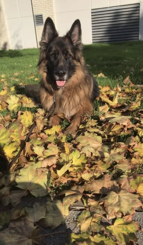 Image from Fynn