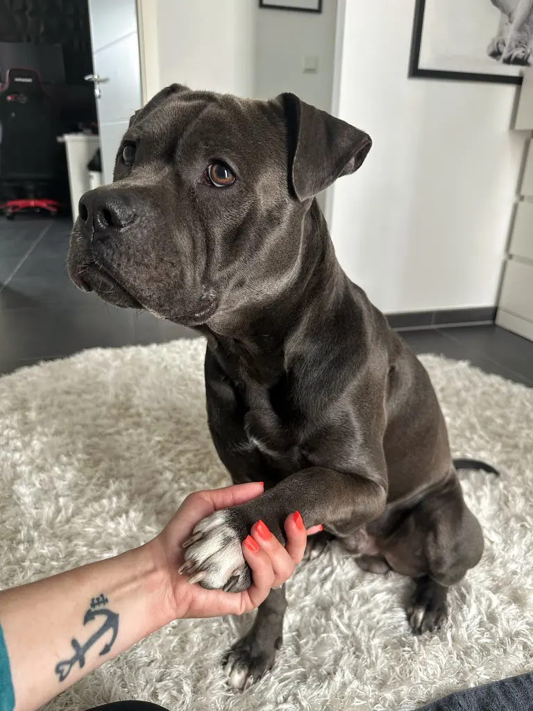 Bild von Dubi