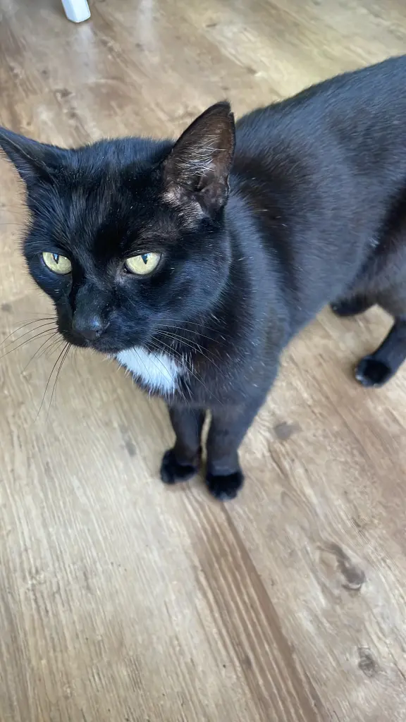 🥰