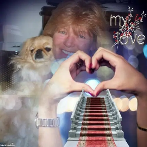 Image from das Beste was es jemals gab