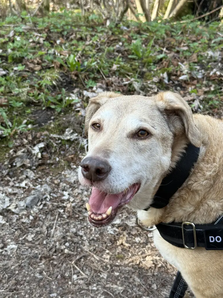 Bild von Trudy