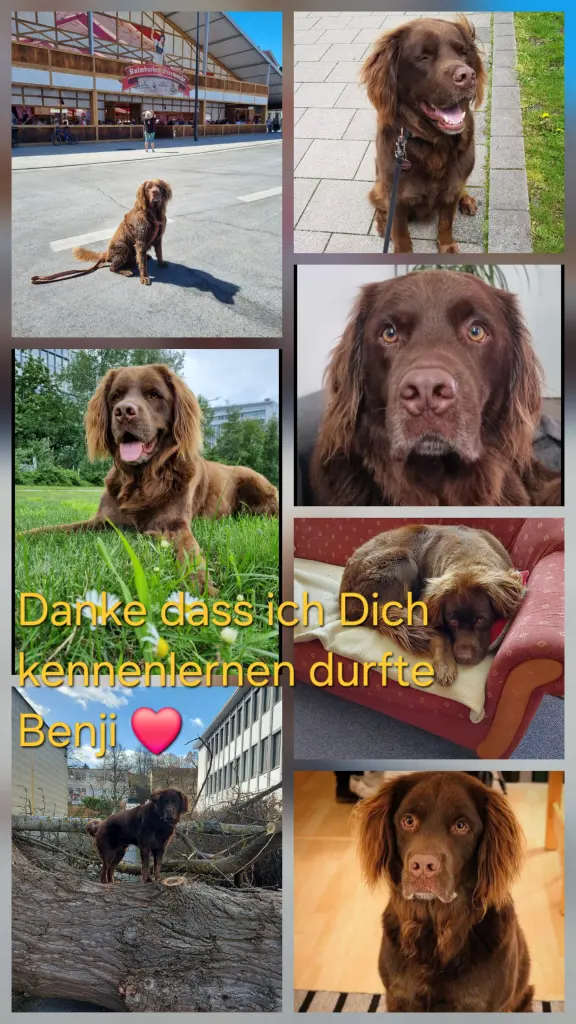 Andachtsbild von Kerstin u. Ram S.