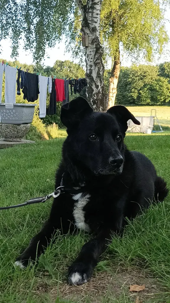 Bild von Diego