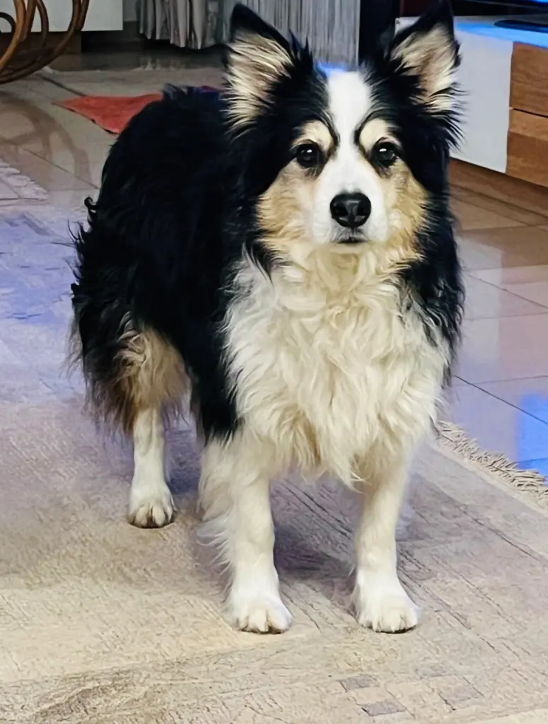 Bild von Filou