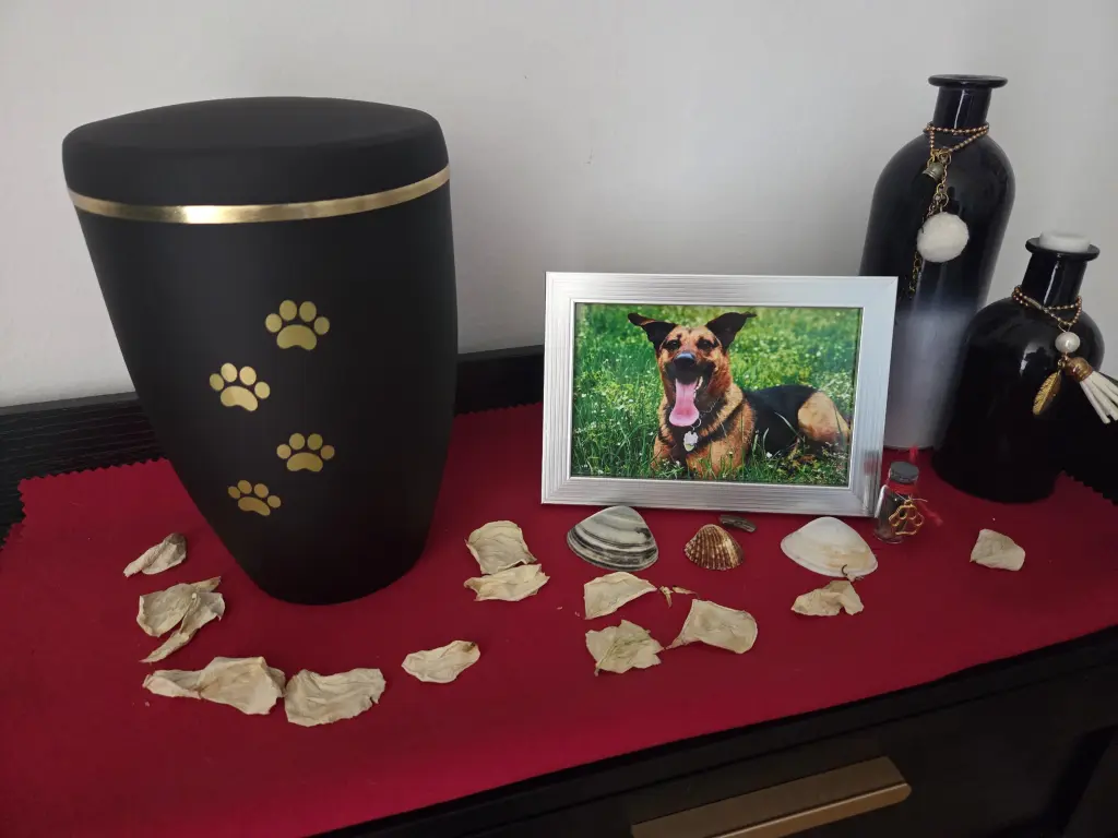 Bild von Nala