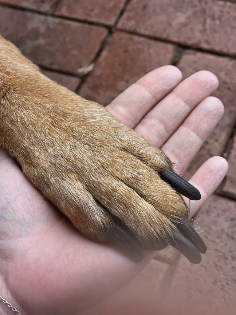 ❤️