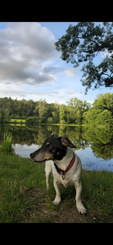 Bild von Spikey