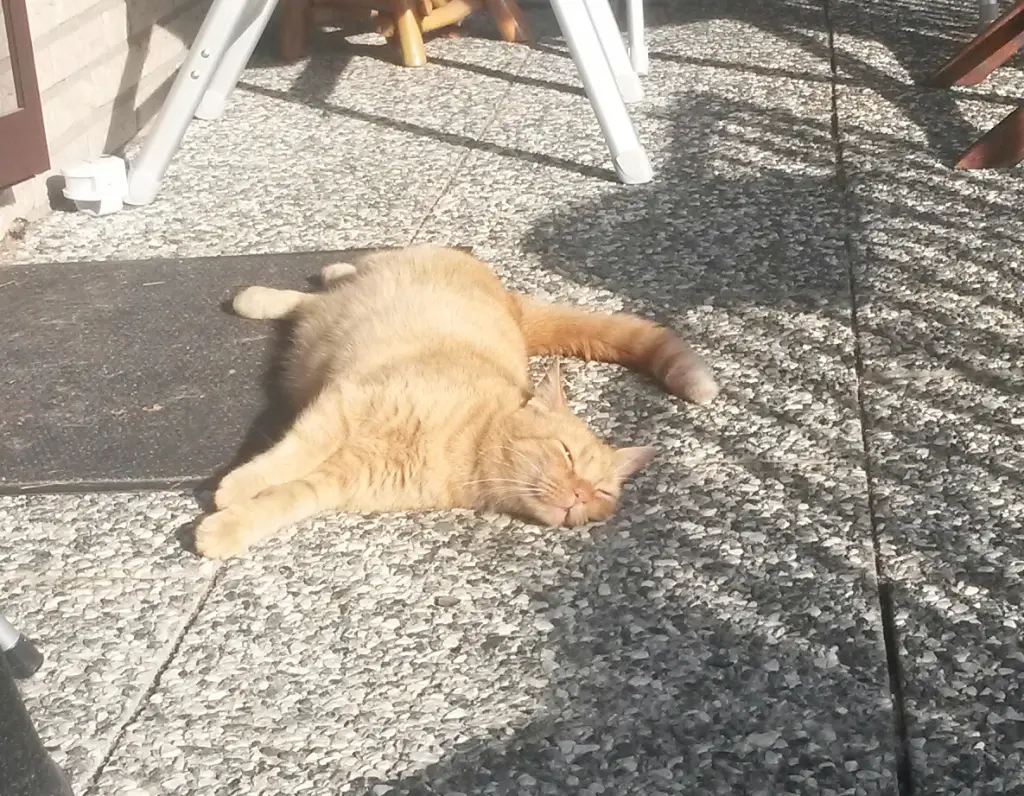 Ich liebe die Sonnenstrahlen