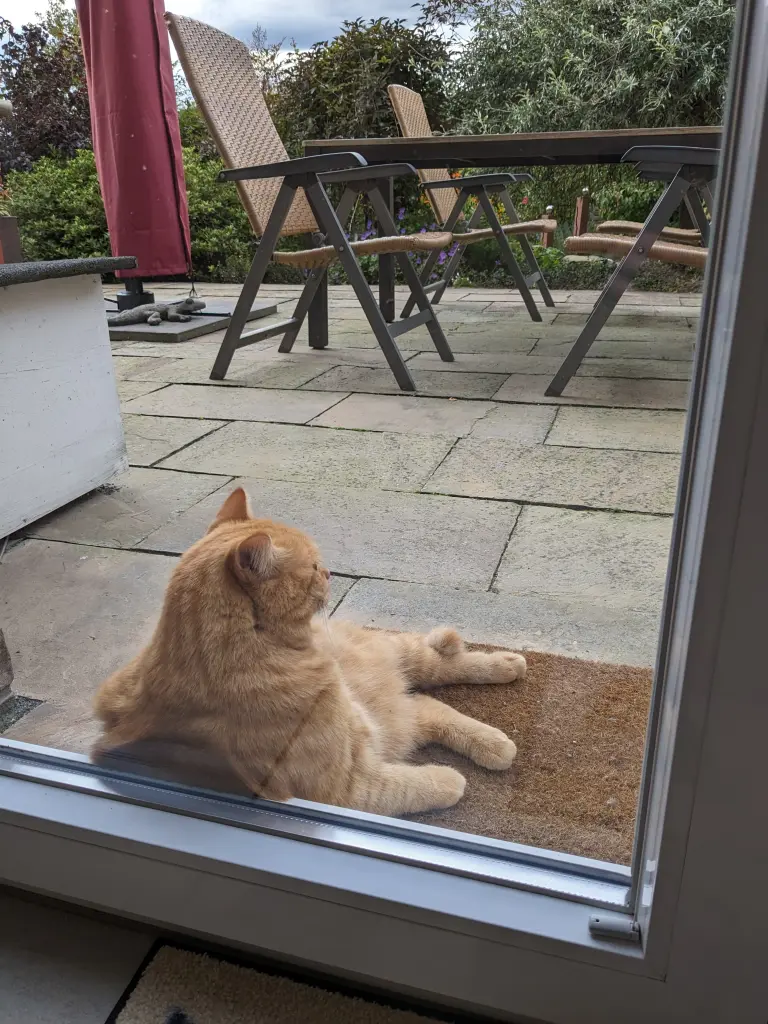 Der Chef in seinem Garten