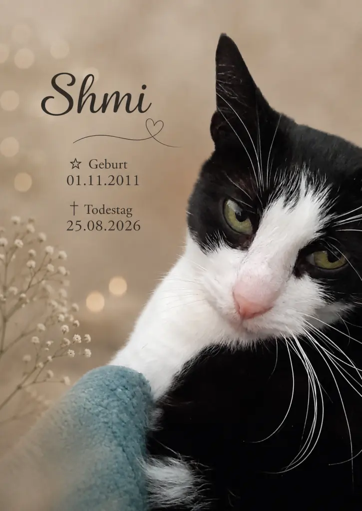 Bild von Shmi