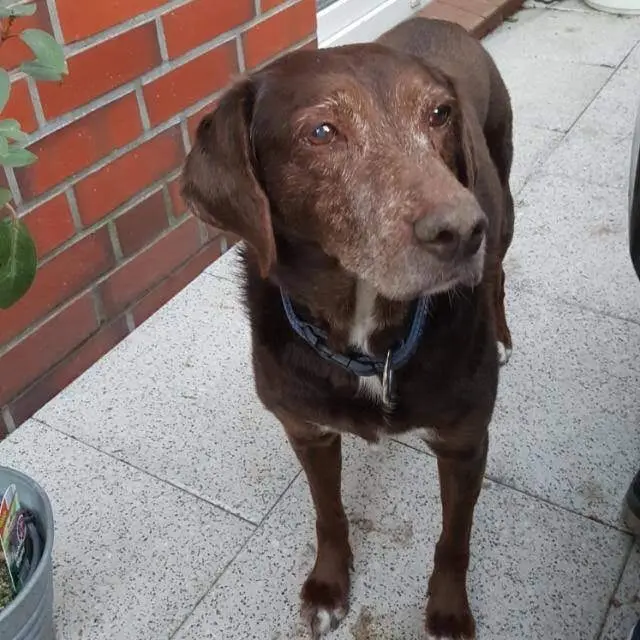 Condolence image of Regine (mit Bilka im Herzen)