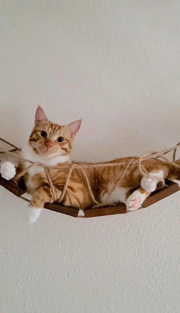 Bild von Finley