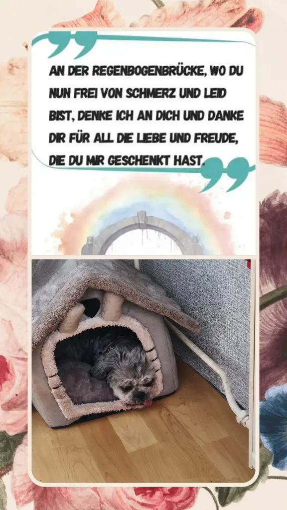 Bild von Gina