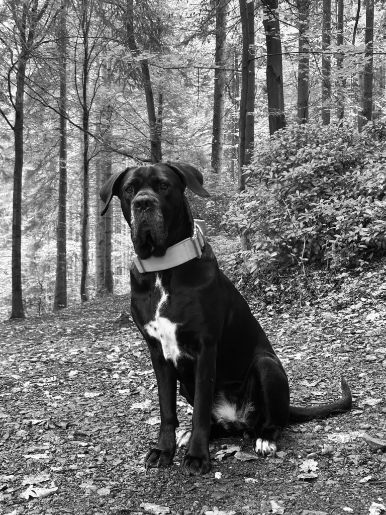 Andachtsbild von Jessica