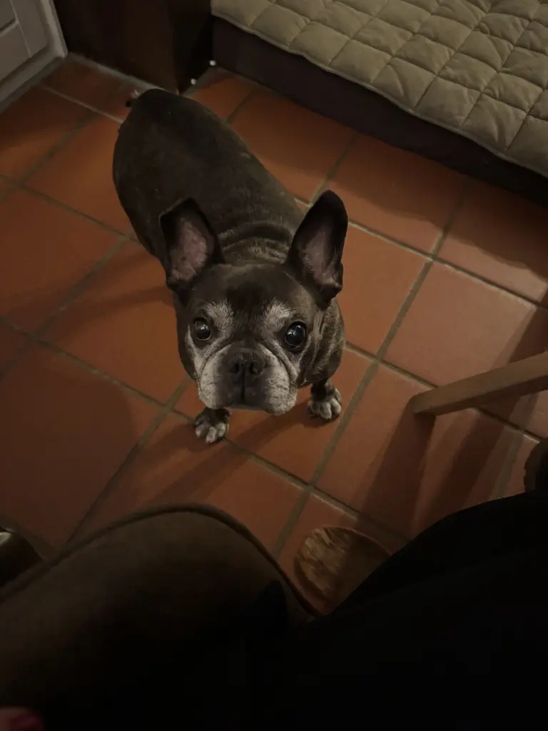 Condolence image of Jenny