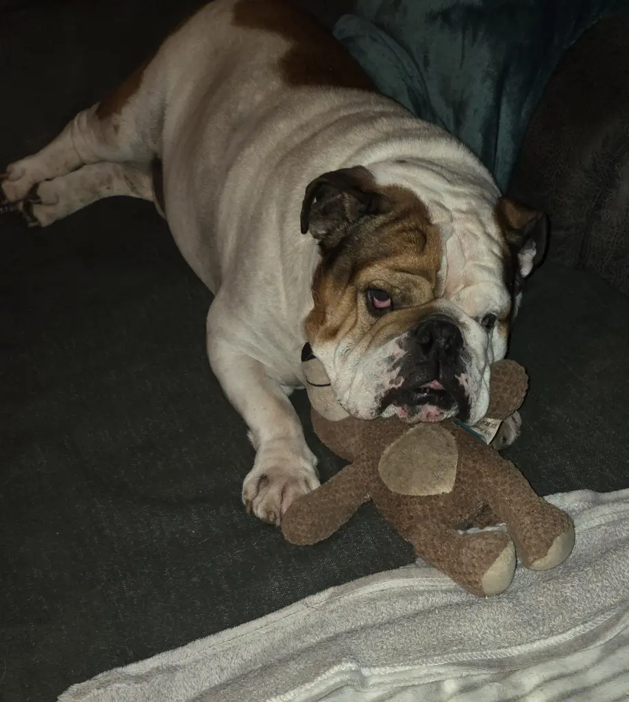Bild von Odin