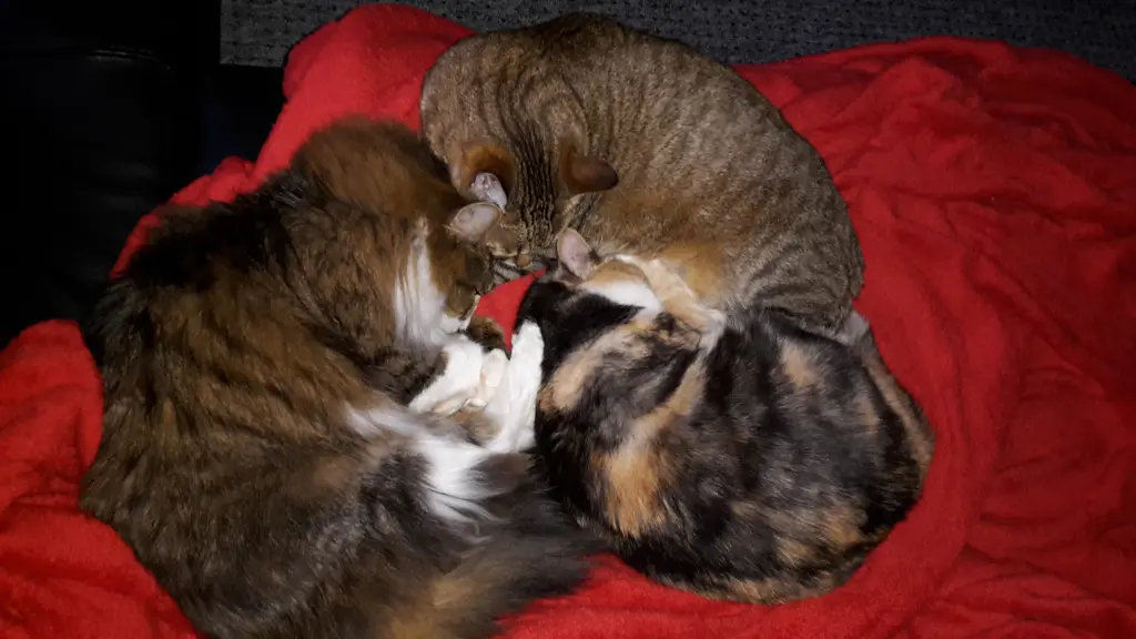 große Liebe