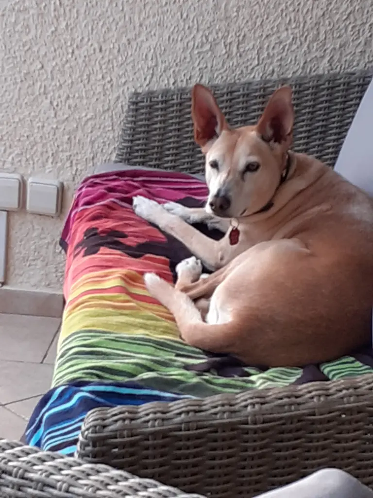 Im Urlaub, Blick von der Terrasse