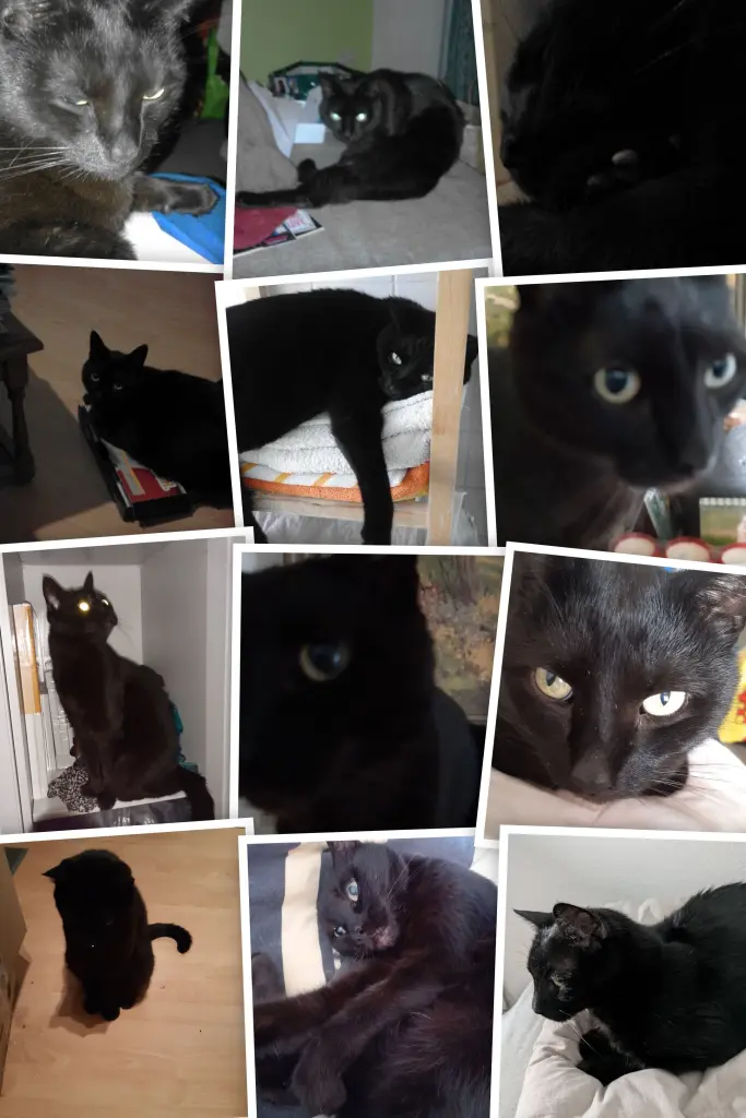 Bild von Freddy