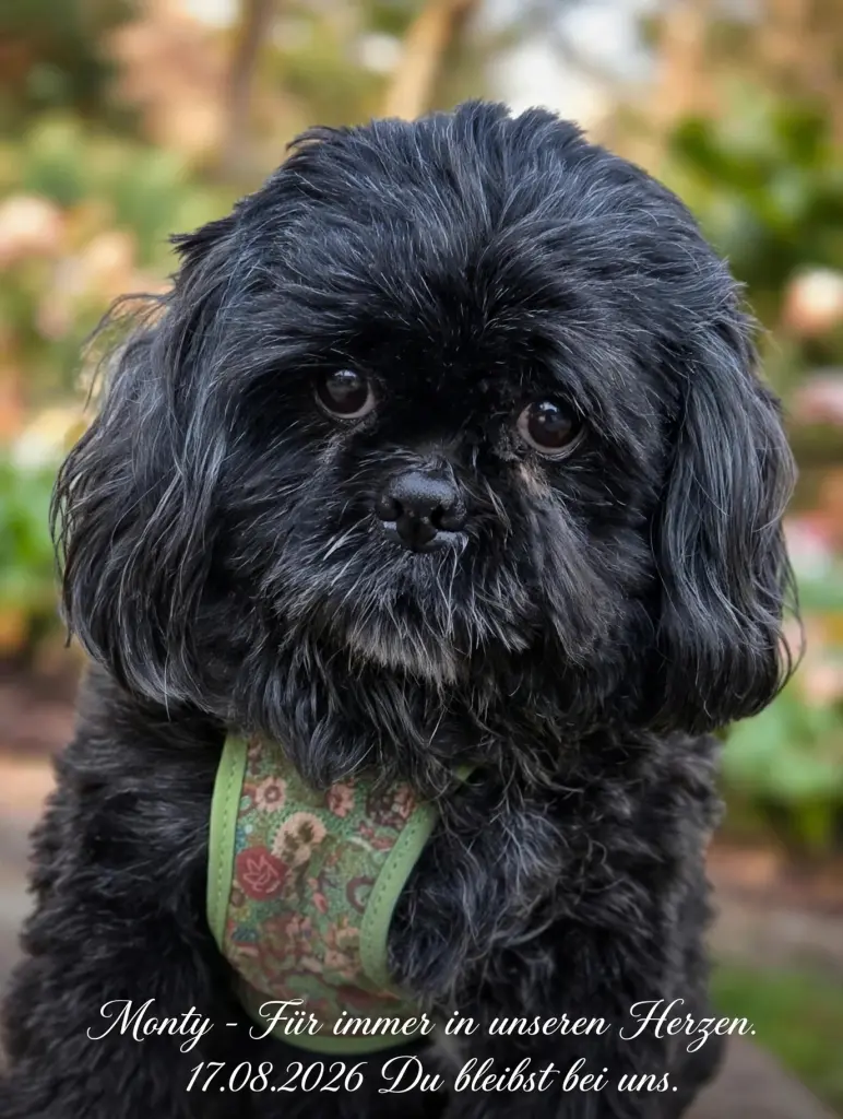 Condolence image of Sabrina