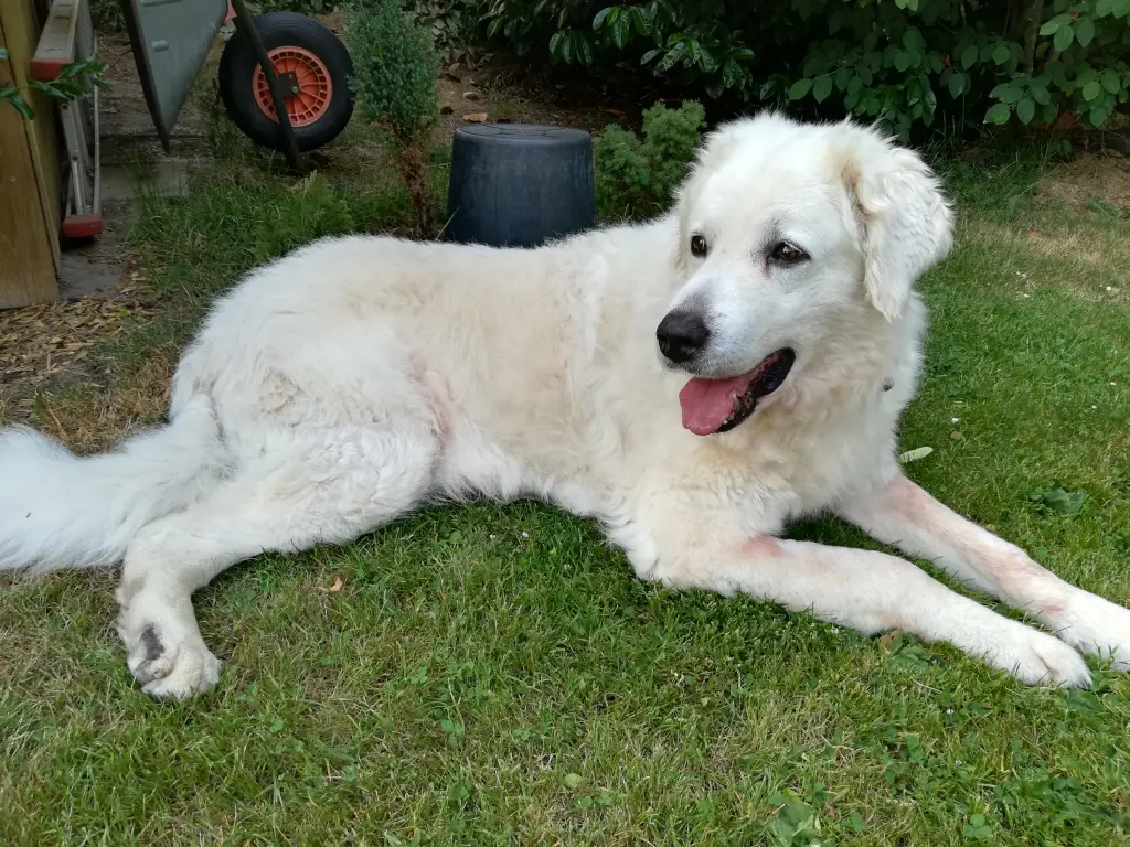 Andachtsbild von Brigitte