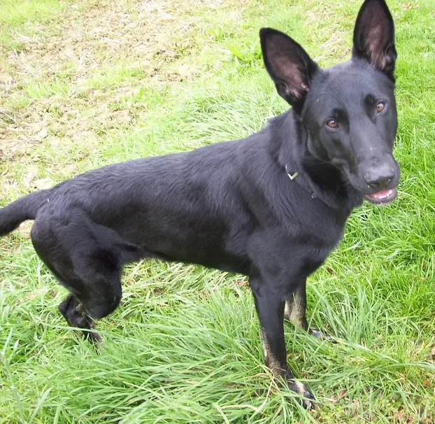 Bild von Kara