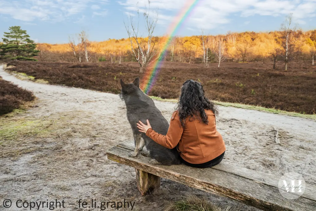 https://www.feligraphy.de/