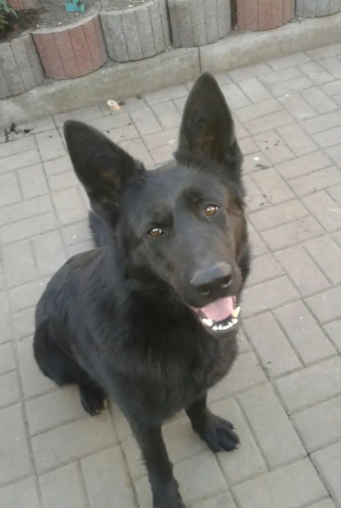 Bild von Despina