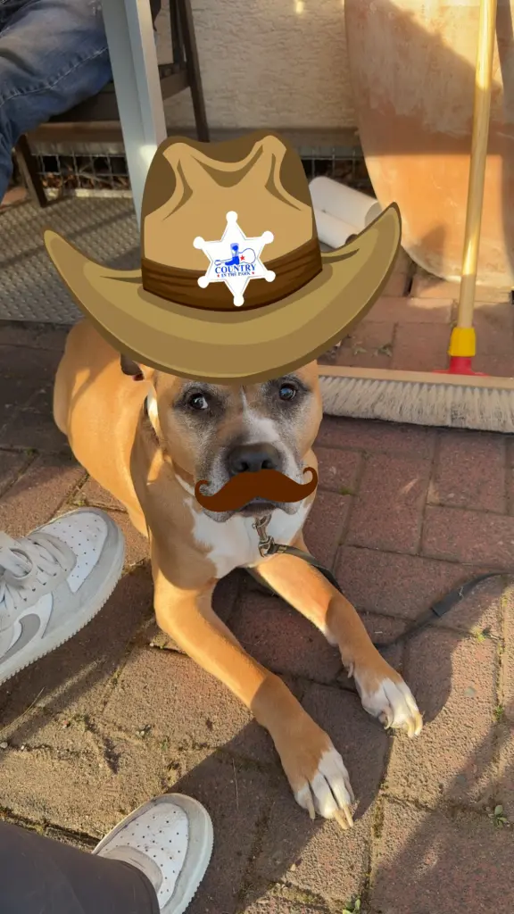 Image from Pepe