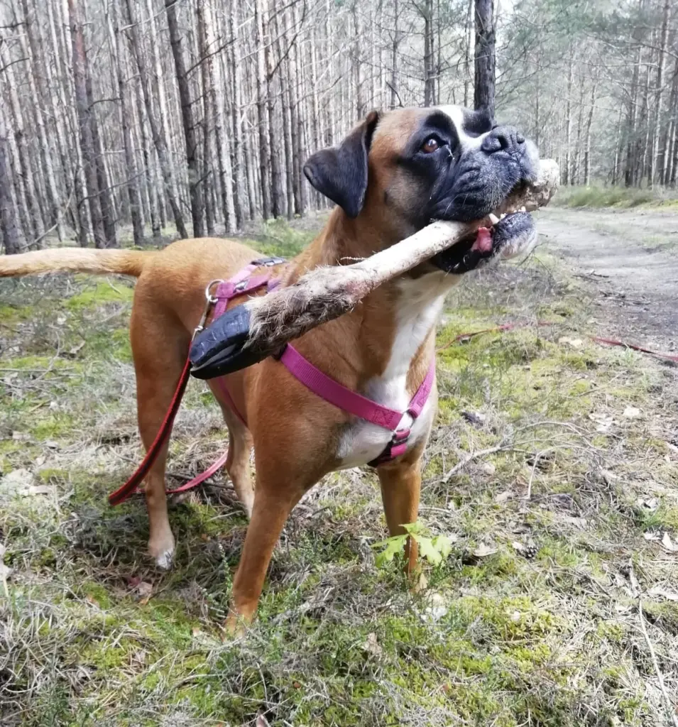 Bild von Abby