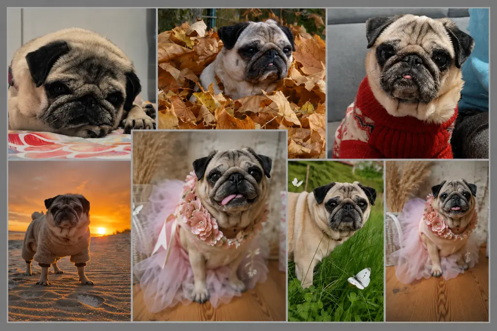 Bild von Charlotte