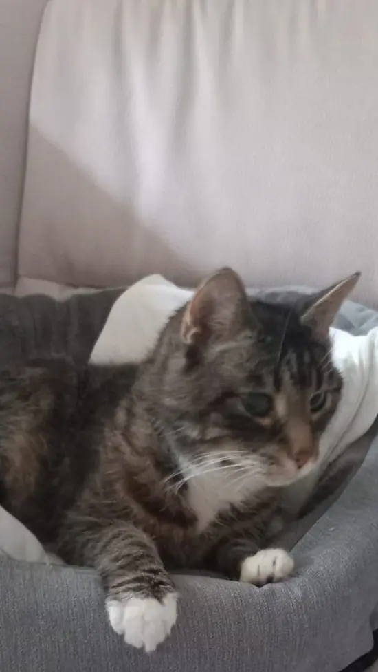 Bild von Billa