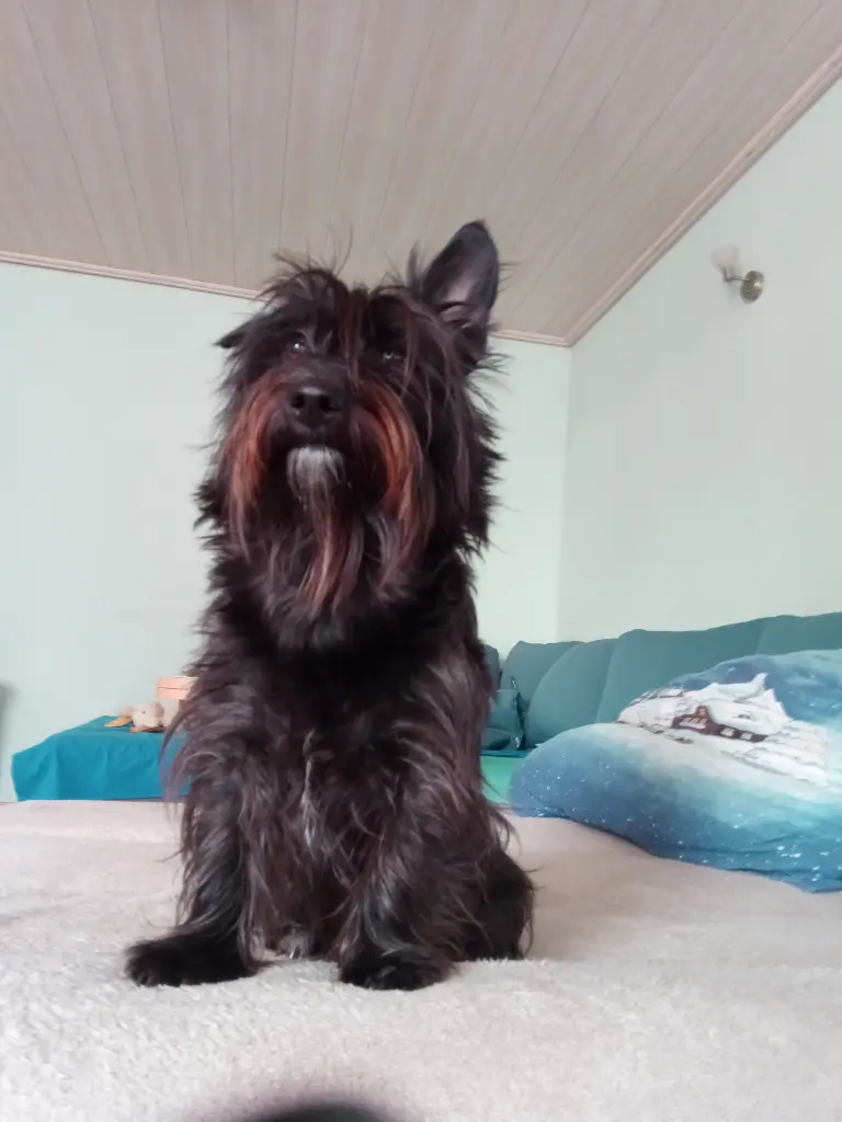 Bild von Charly