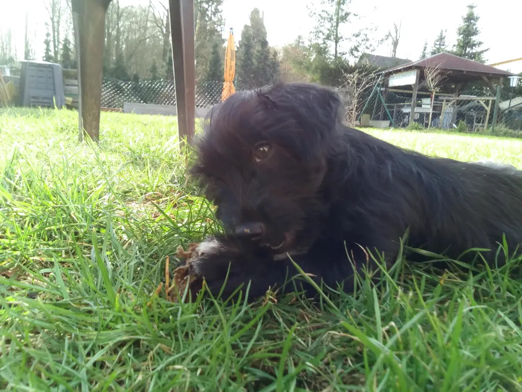 Bild von Charly