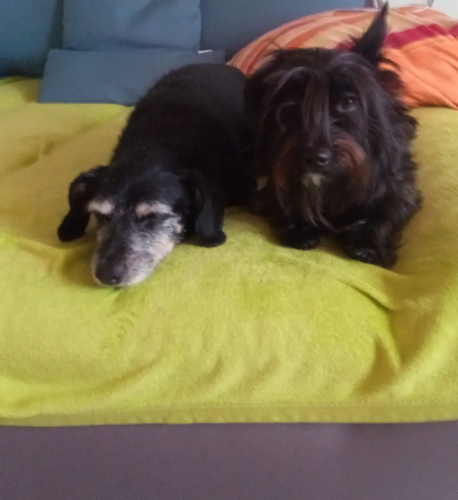 Bild von Charly