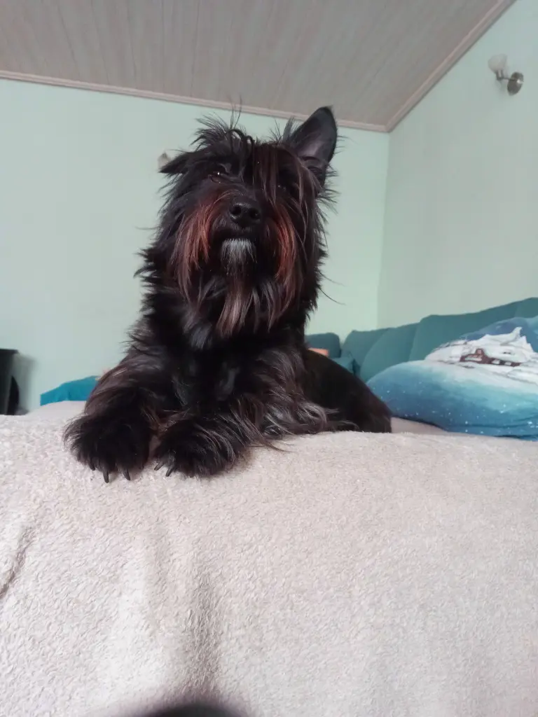 Bild von Charly