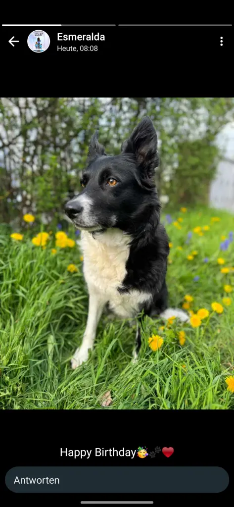 Bild von Sally
