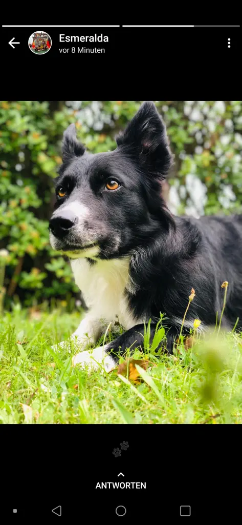 Bild von Sally