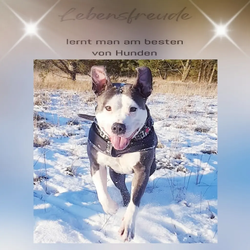 Bild von Bella