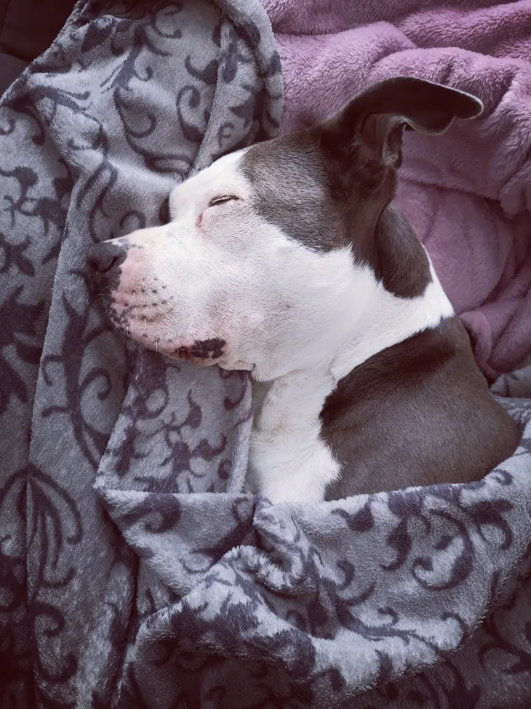Bild von Bella