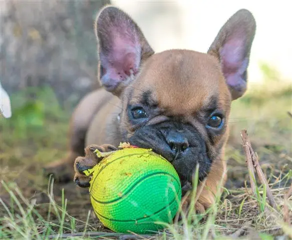Bild von Uschi