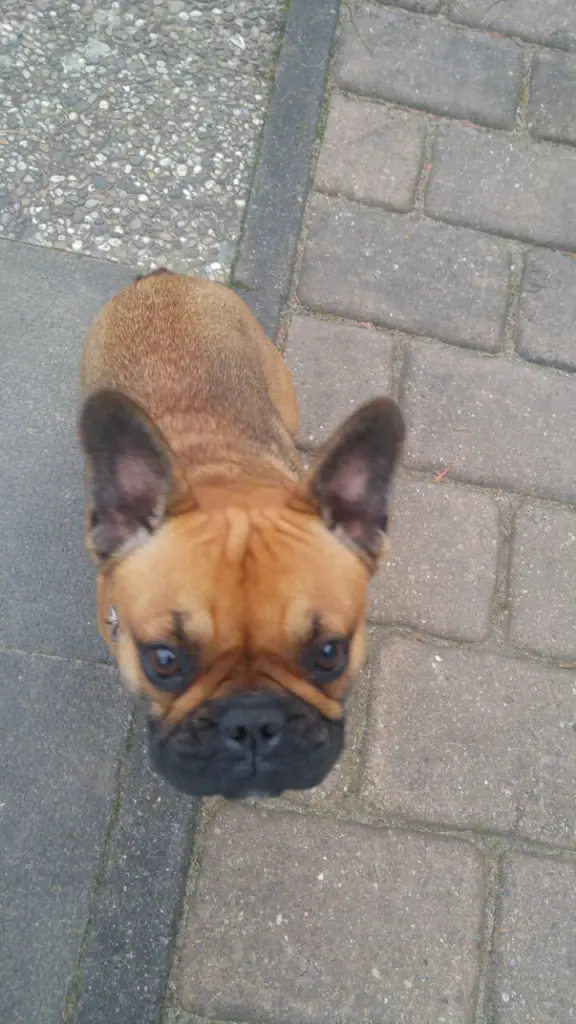 Unsere Prinzessin