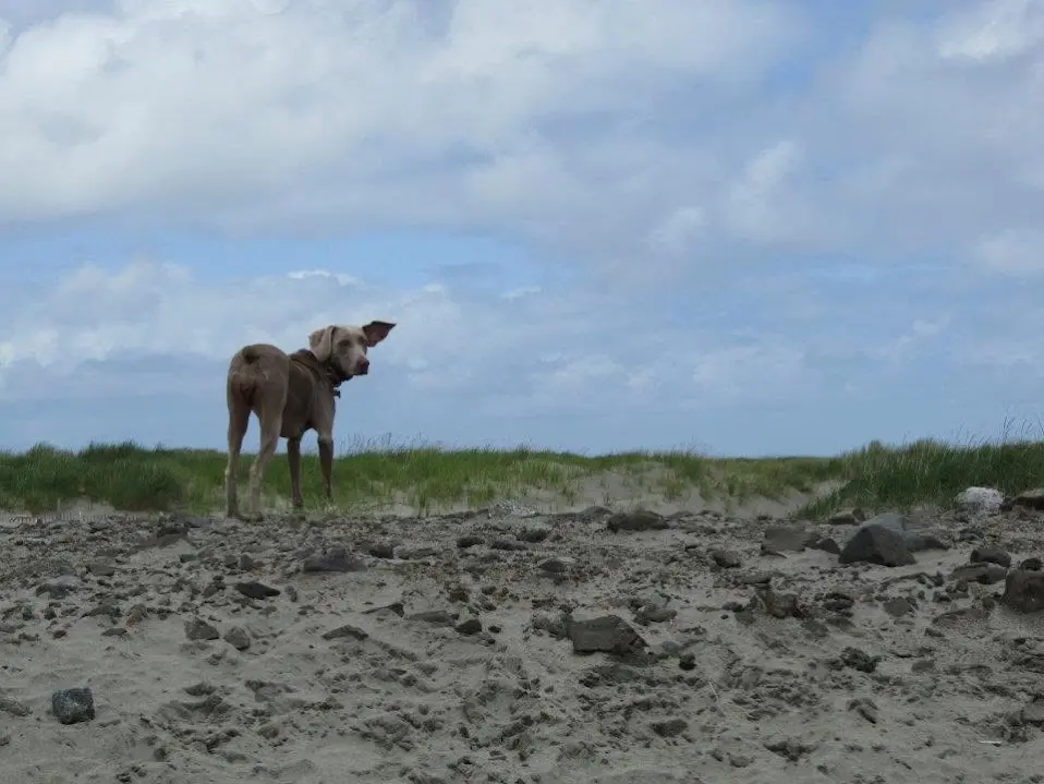 Bild von Kaiya