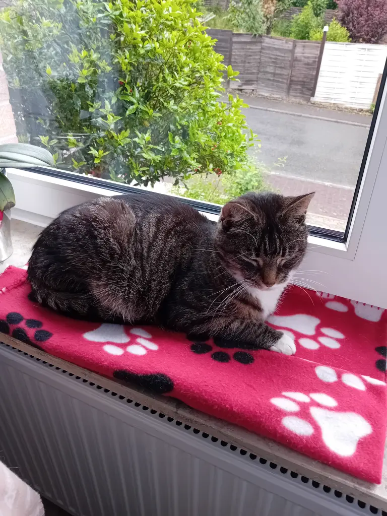 Bild von Billa
