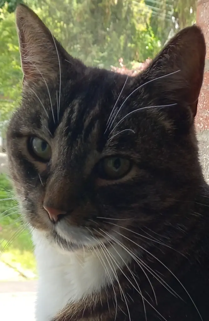 Bild von Billa